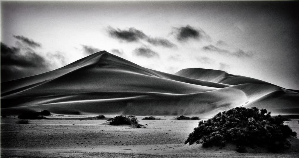 Dramatic Desert Dunes by Thore Larsgard — canvas wall art
