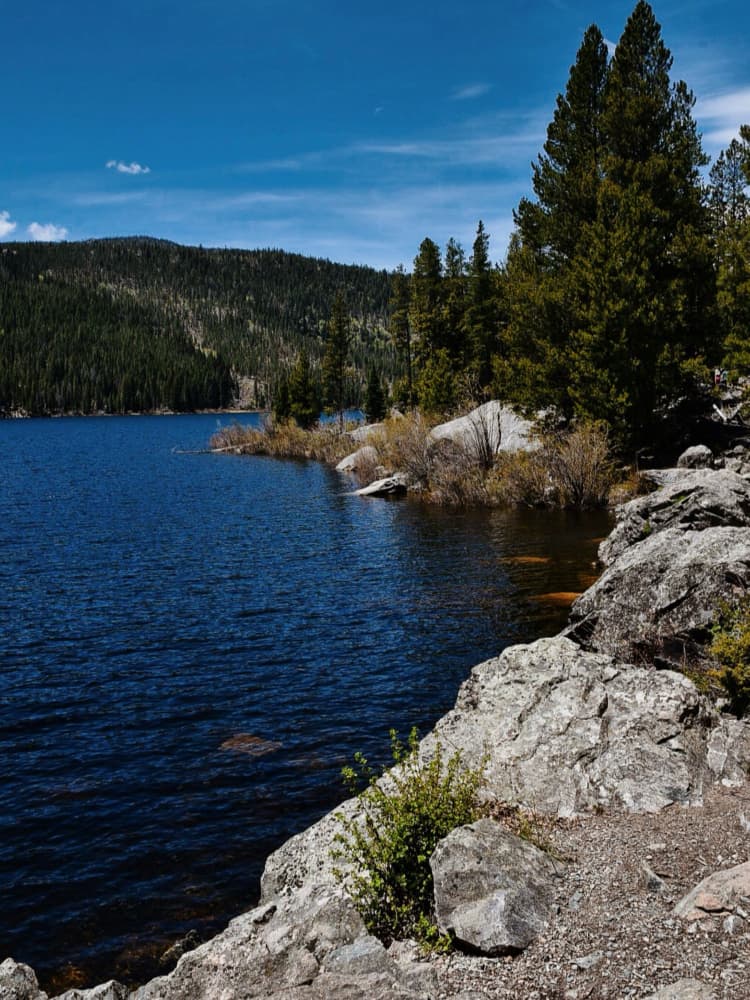 Serene Forest Lake by Del Mundo Imagery — canvas wall art
