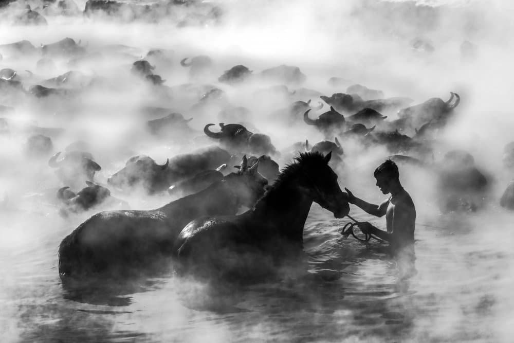 Man Horse Misty Herd by Ummu Nisan Kandilcioglu — canvas wall art