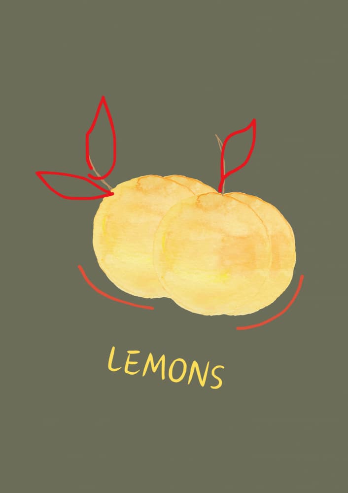 Simple Yellow Lemons by ART of living — canvas wall art