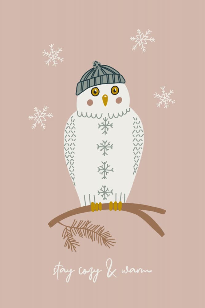Cozy Winter Owl by Alexandra Weise — canvas wall art