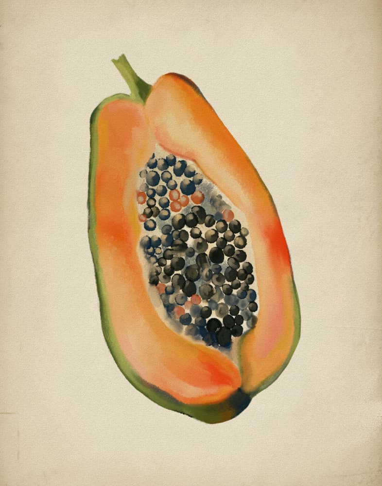 Vibrant Papaya Half by Josie George — canvas wall art