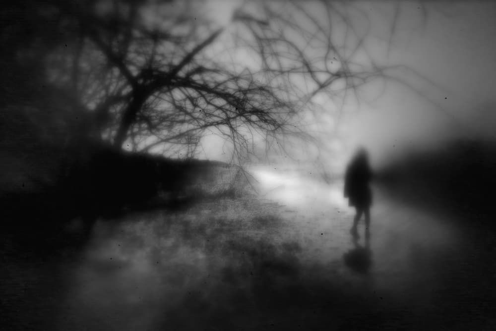 Mysterious Winter Path by Teruhiko Tsuchida — canvas wall art