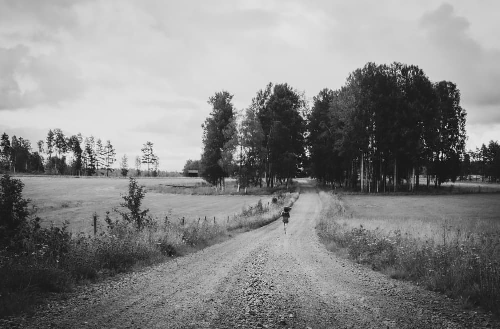 Serene Countryside Walk by Stephanie Kleimann — canvas wall art