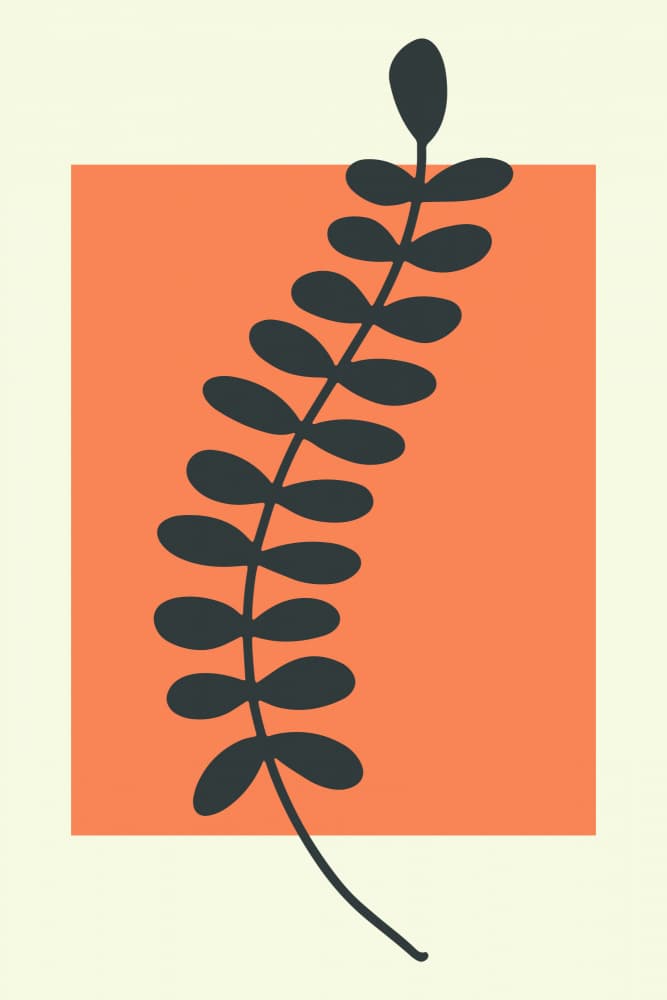 Minimalist Botanical Leaf by jay stanley — canvas wall art