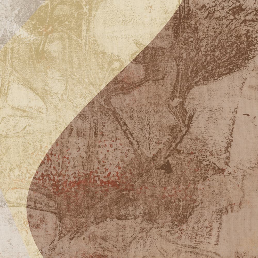 Earthy Abstract Shapes by Dina Dankers — canvas wall art