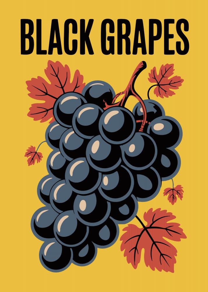 Vintage Black Grapes