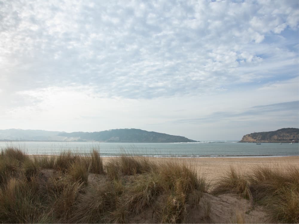 Serene Coastal Dunes by Mathieu jeuf — canvas wall art