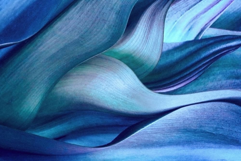 Organic Blue Flow by Robin Wechsler — canvas wall art