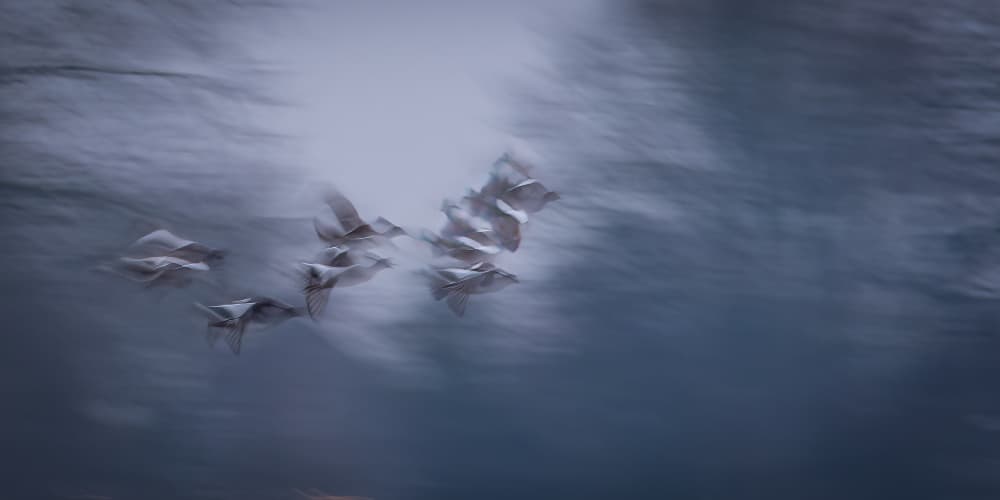 Flight Through Clouds by Piet Haaksma — canvas wall art