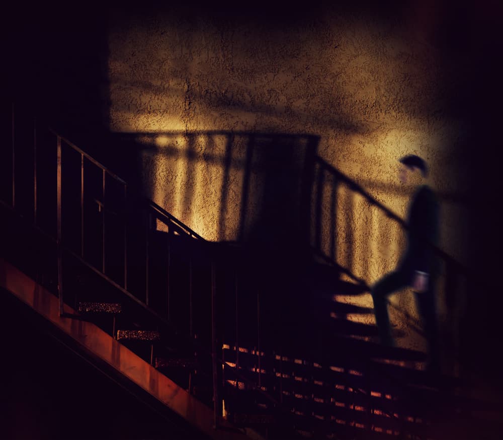 Shadowy Figure Ascending by Roxana Labagnara — canvas wall art