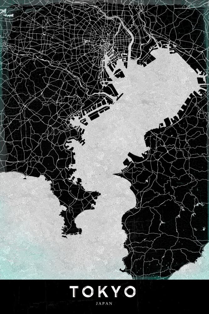 Tokyo City Map by StudioSix — canvas wall art