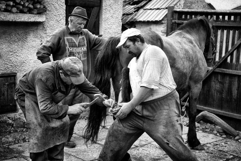 Farriers Shoeing Horse by Zoran Toldi (EFIAP AZSF) — canvas wall art