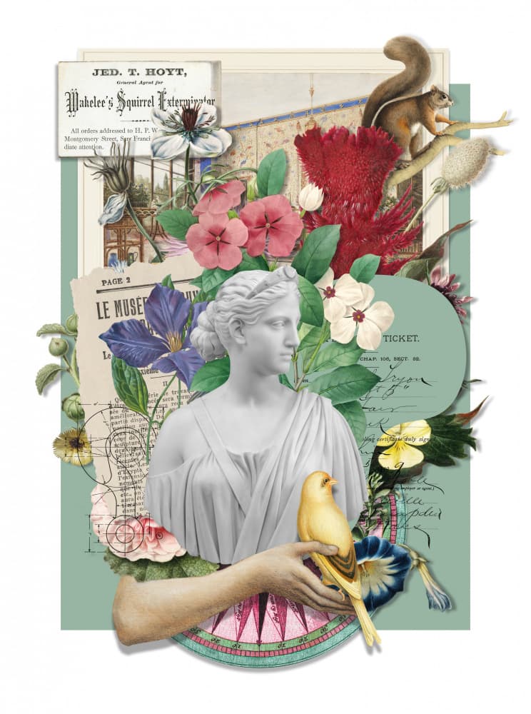 Classical Botanical Collage by Marja van den Hurk — canvas wall art