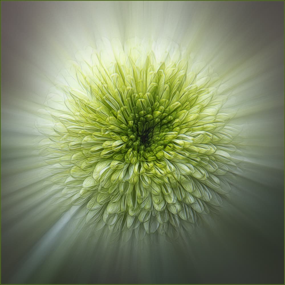Radiant Green Bloom by Gilbert Claes — canvas wall art