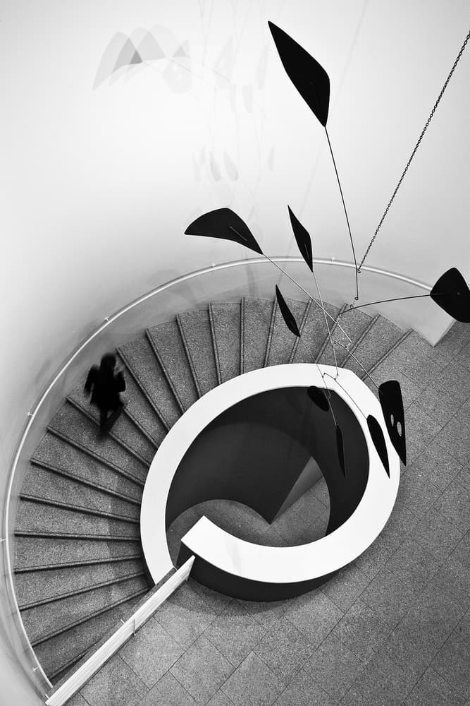 Spiral Staircase Movement by Rui Ferreira — canvas wall art