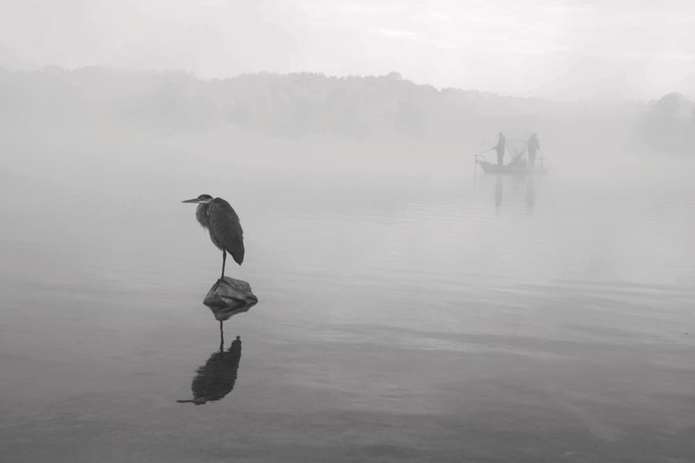Misty Heron and Fishermen by Eric Zhang — canvas wall art