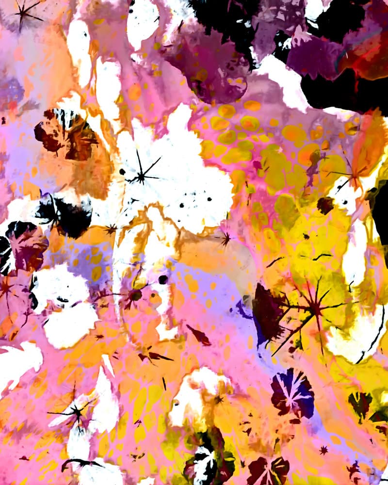 Vibrant Abstract Blooms by Uma Gokhale — canvas wall art