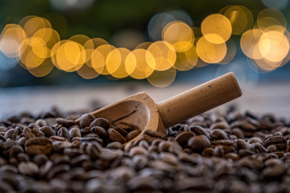 Warm Coffee Bean Scoop by Oliver Isermann — canvas wall art