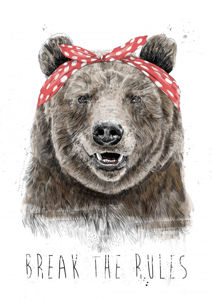 Cool Bear Breaks Rules by Balazs Solti — canvas wall art