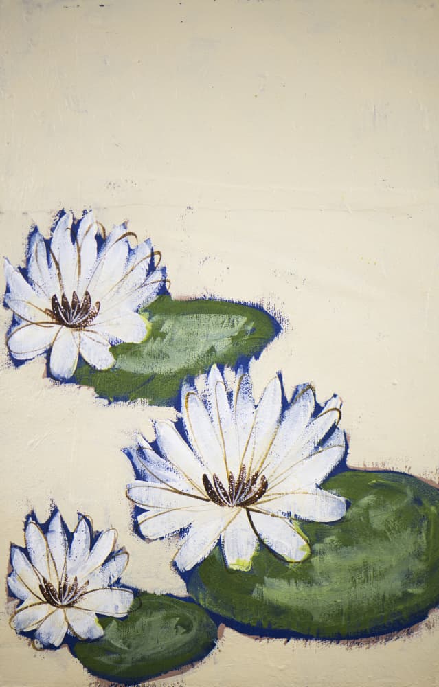 White Water Lilies by Shelley Hampe — canvas wall art