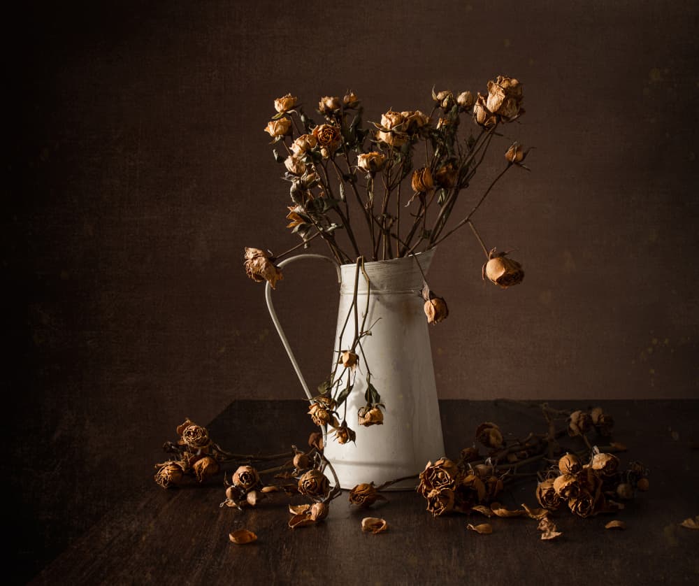 Moody Dried Roses Still Life by Margareth Perfoncio — canvas wall art
