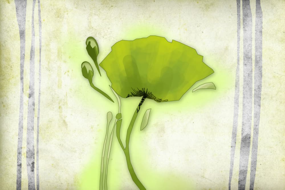 Vintage Green Poppy by Rafal Kulik — canvas wall art