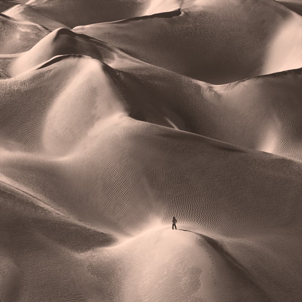 Desert Dunes Solitude by Bingo Z — canvas wall art