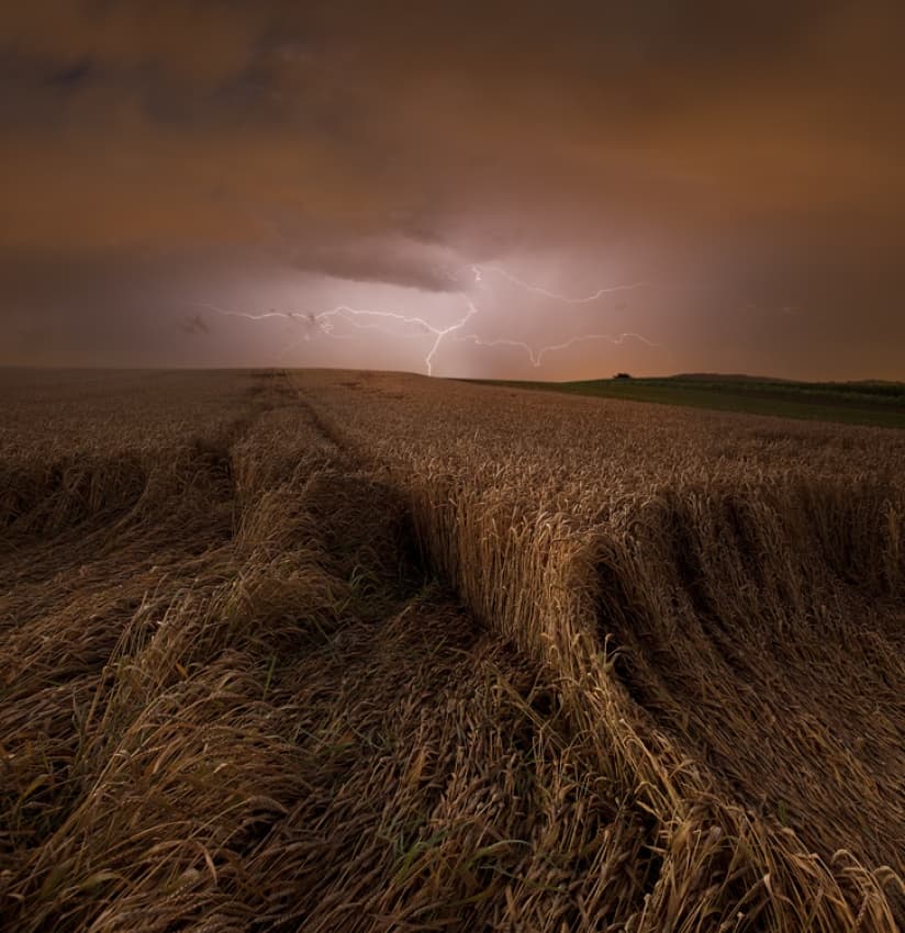 Lightning Over Wheat Field by Nicolas Schumacher — canvas wall art