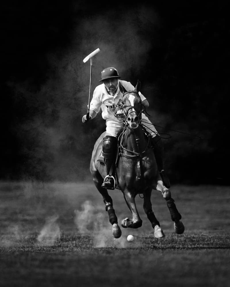 Dynamic Polo Action by Rob Li — canvas wall art