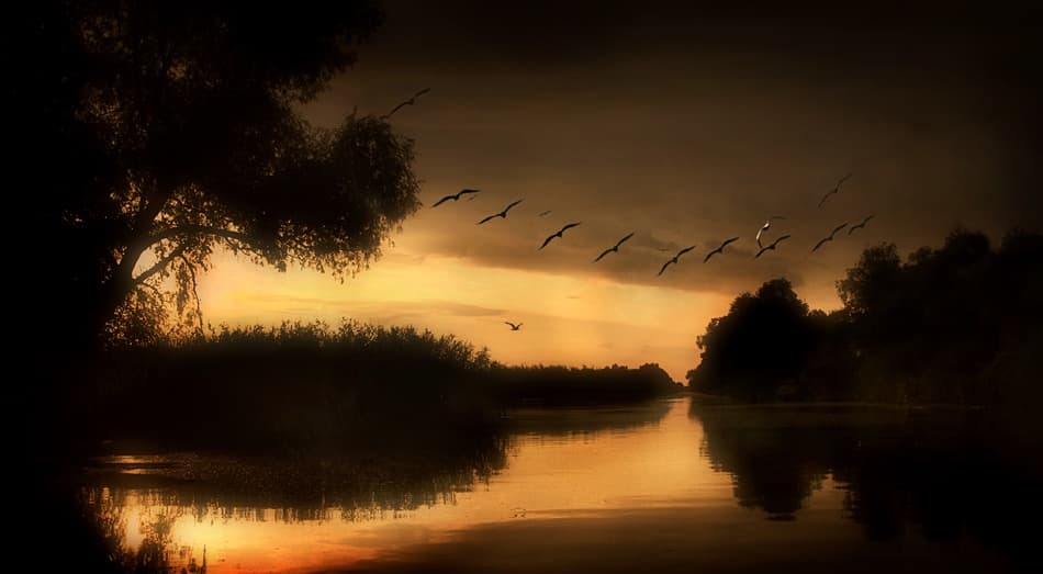 Golden River Sunset by Ileana Bosogea-Tudor — canvas wall art