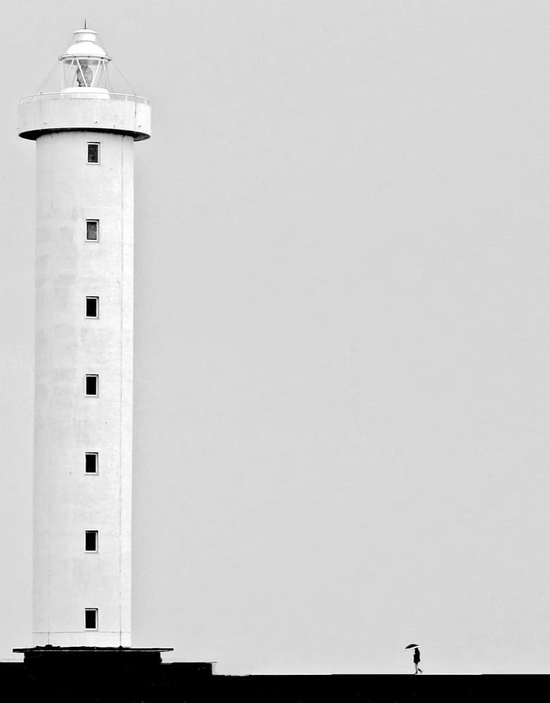 Lighthouse and Lone Bird by Luciano Caturegli — canvas wall art