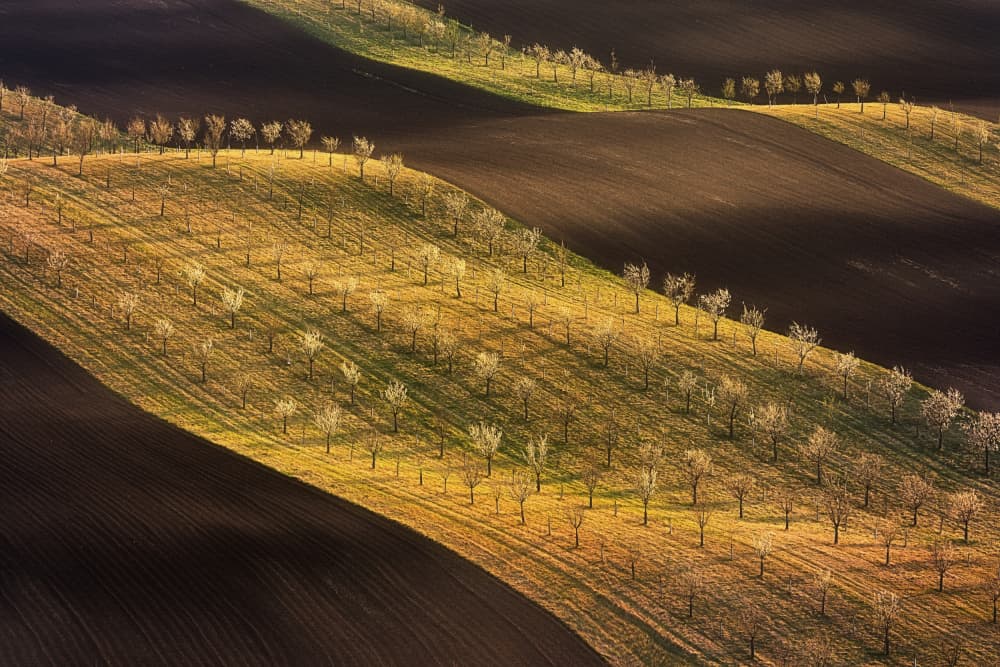 Sunlit Rolling Fields by Martin Morávek — canvas wall art