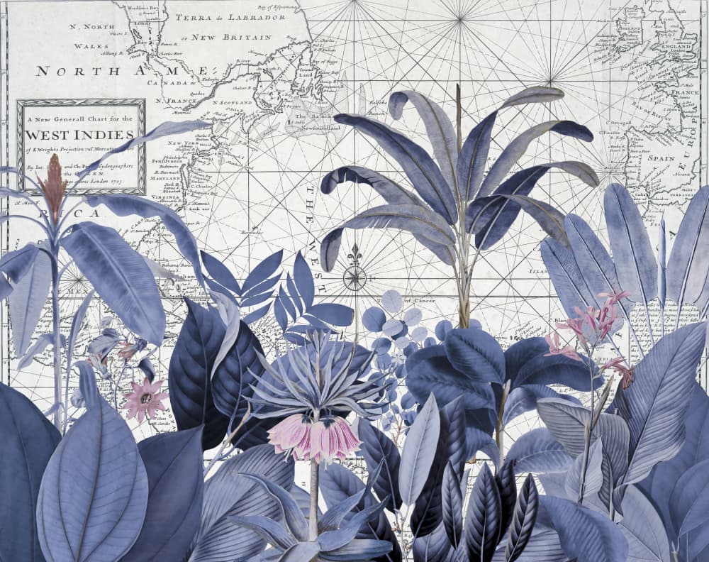 Blue Tropical Map by Andrea Haase — canvas wall art