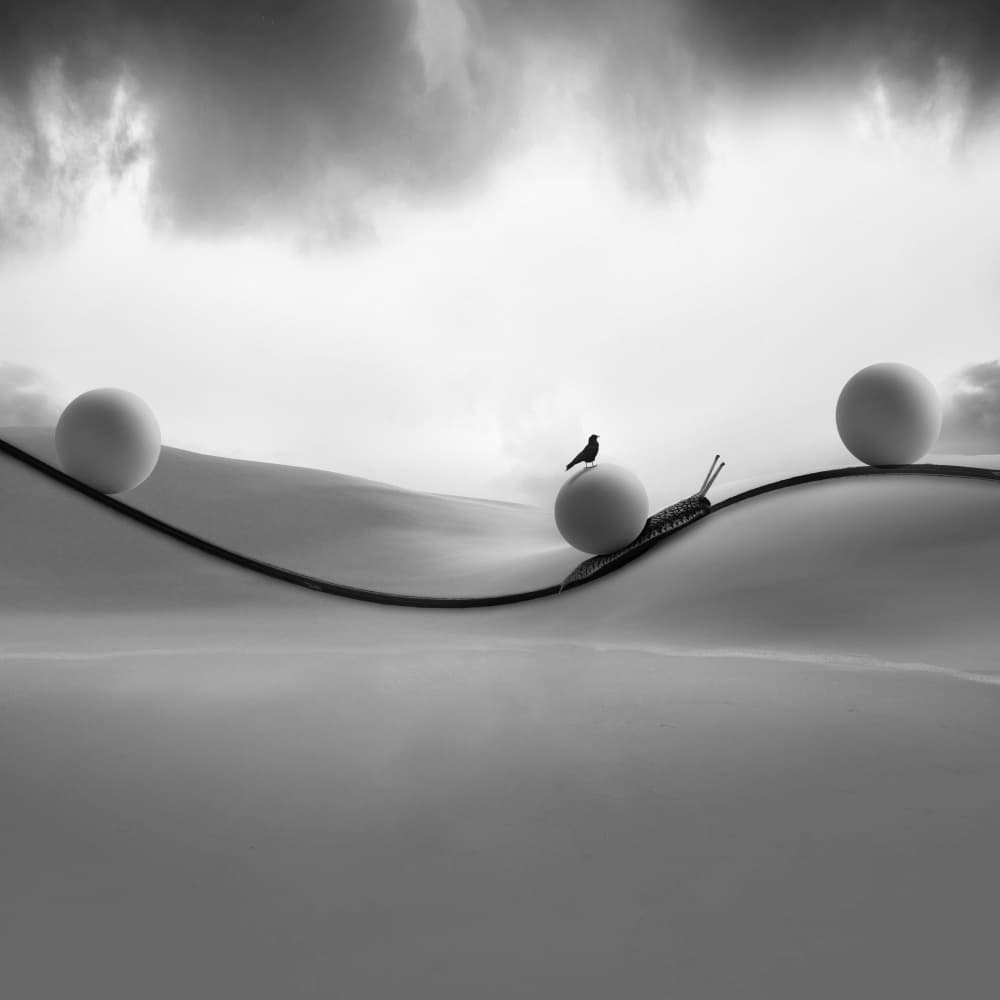 Surreal Snail Journey by Hadi Malijani (Malenjani) — canvas wall art