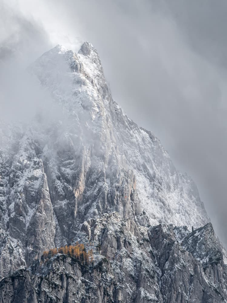 Snowy Peaks and Gold by Andy Dauer — canvas wall art