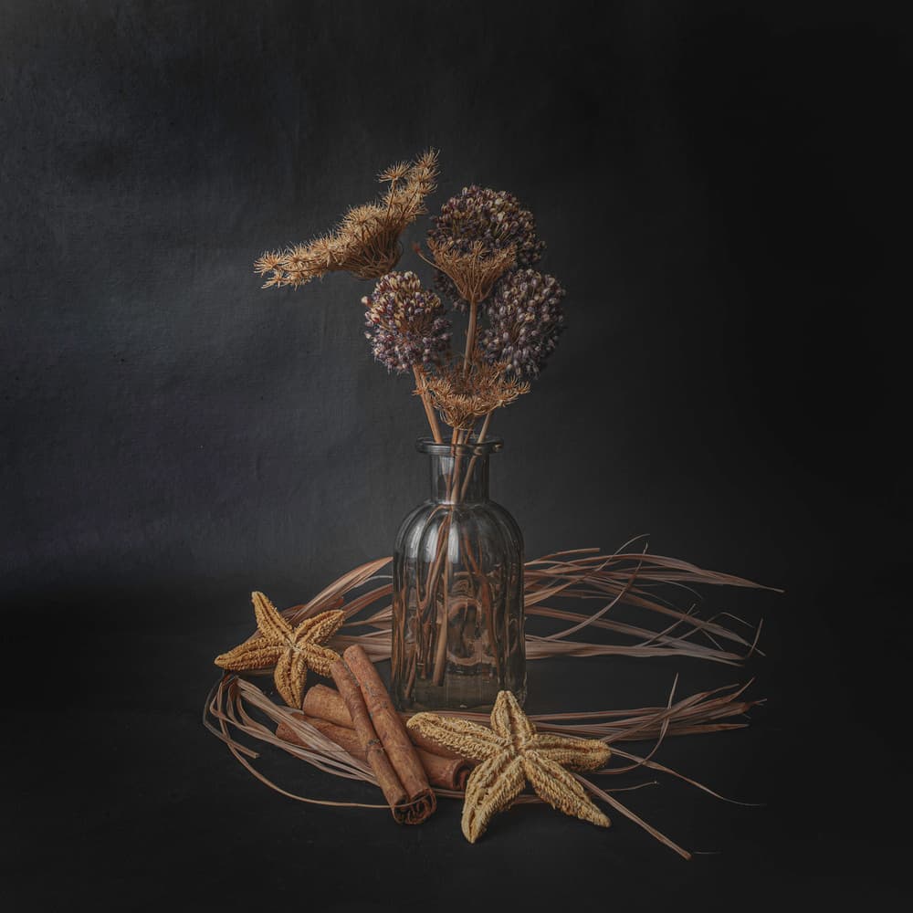 Quiet Rustic Still Life by Cicek Kiral — canvas wall art