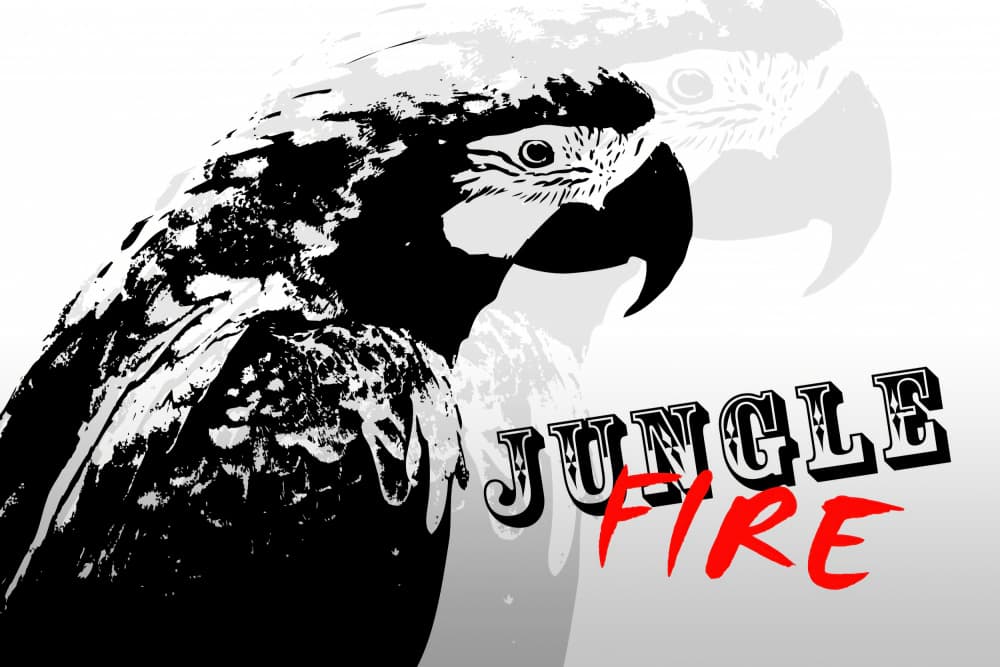 Jungle Fire Parrot by Rafal Kulik — canvas wall art