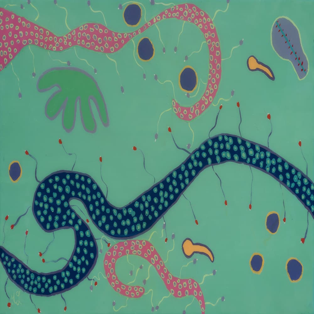 Colorful Organic Forms by Helen Joynson — canvas wall art
