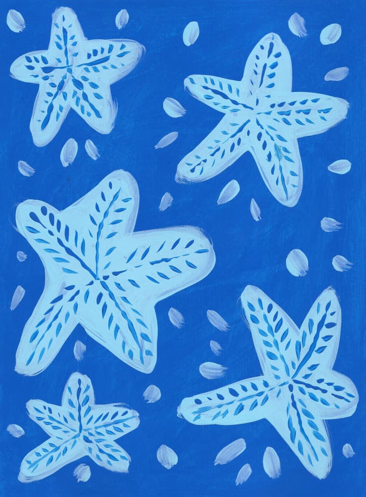 Ocean Starfish Pattern by Lerin Freyou — canvas wall art