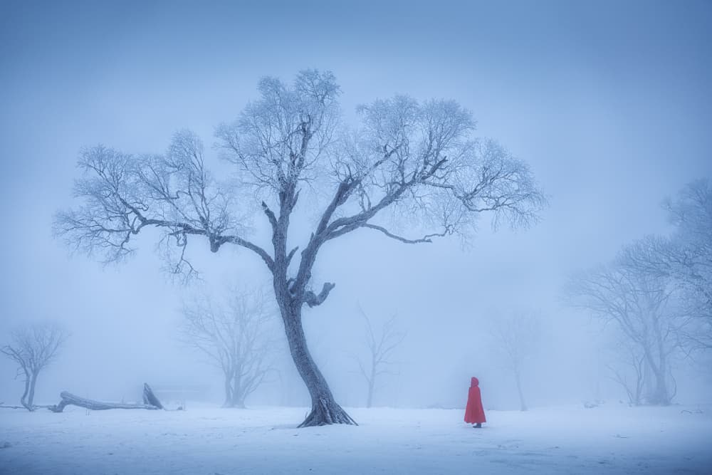 Red Cloak Winter Solitude by Yuan Cui — canvas wall art