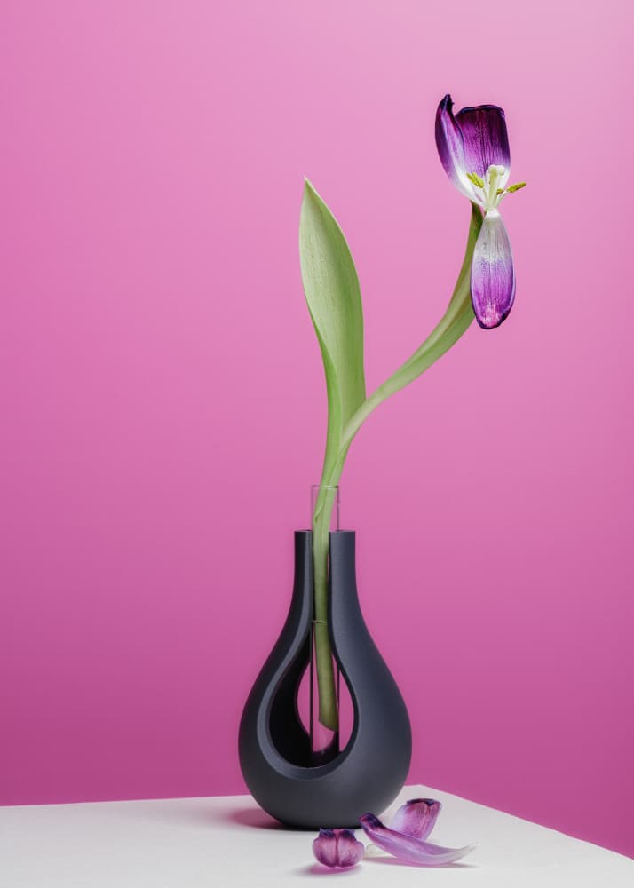 Elegant Fading Tulip by Frank Ulrich Gandenberger — canvas wall art