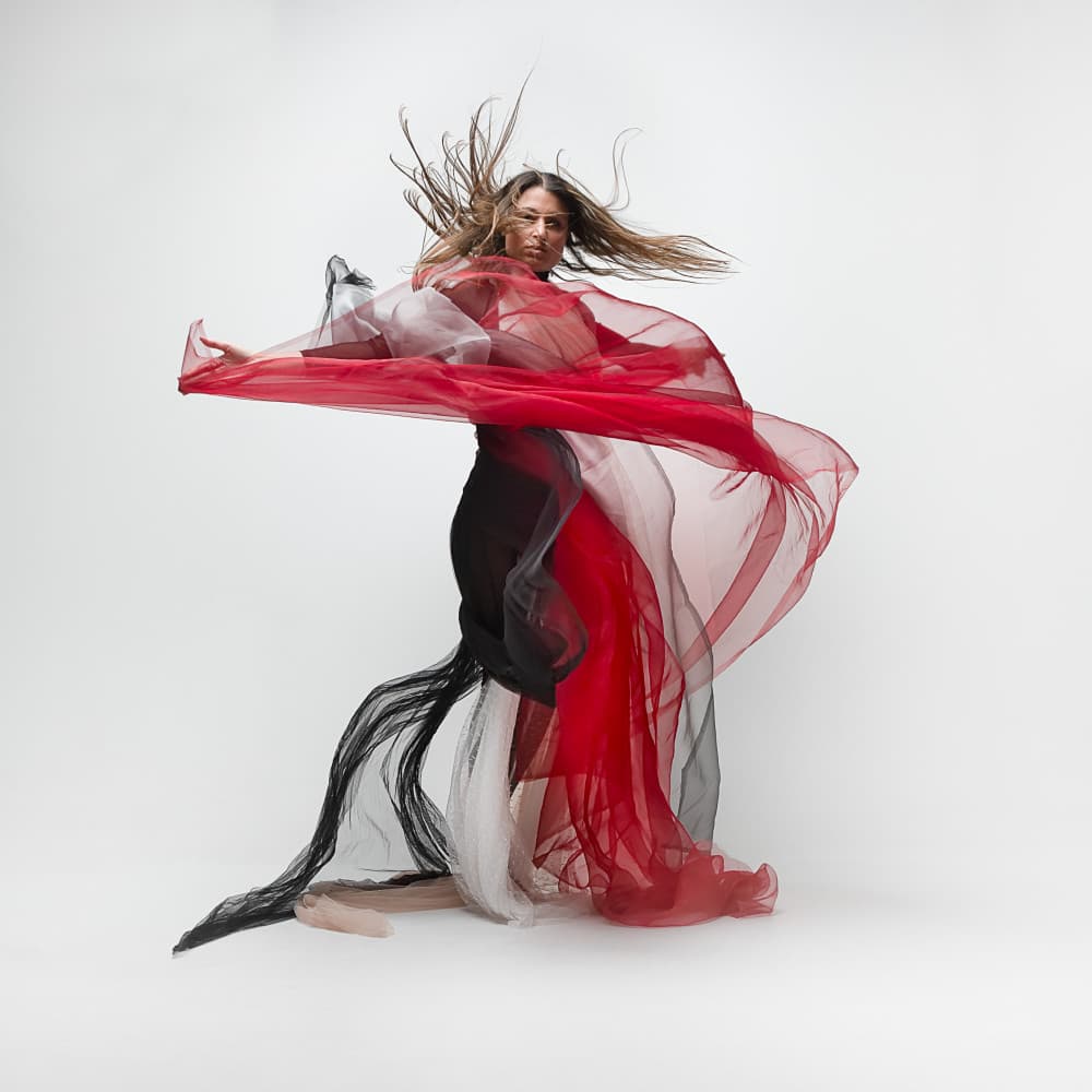 Graceful Red Flow by Joan Gil Raga — canvas wall art