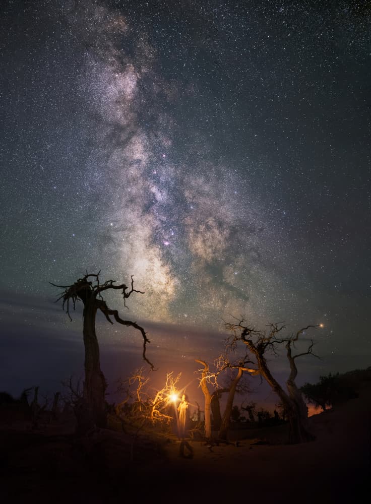 Glowing Light Under Stars by Yuhan Liao — canvas wall art