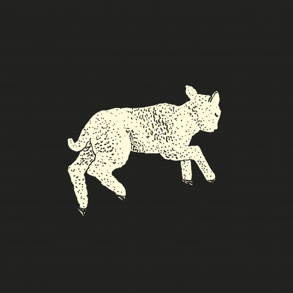 Playful Baby Lamb by Martina Scott — canvas wall art