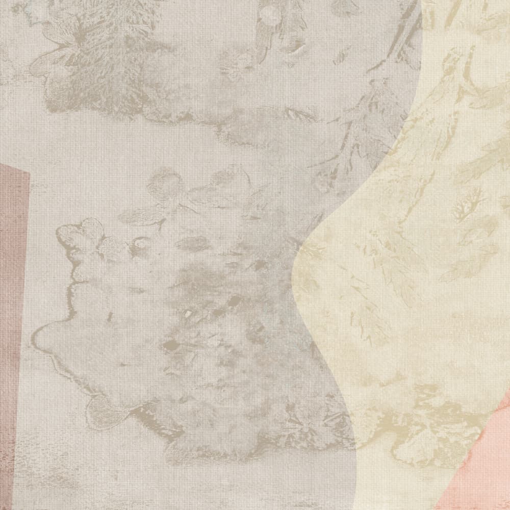 Soft Organic Abstract by Dina Dankers — canvas wall art