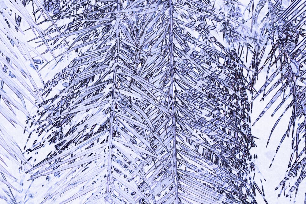 Abstract Blue Foliage by Santhosh ch — canvas wall art
