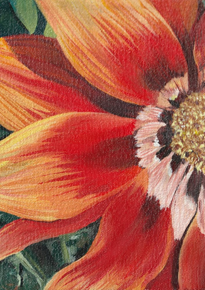 Vibrant Orange Bloom by Viccy Wanliss — canvas wall art