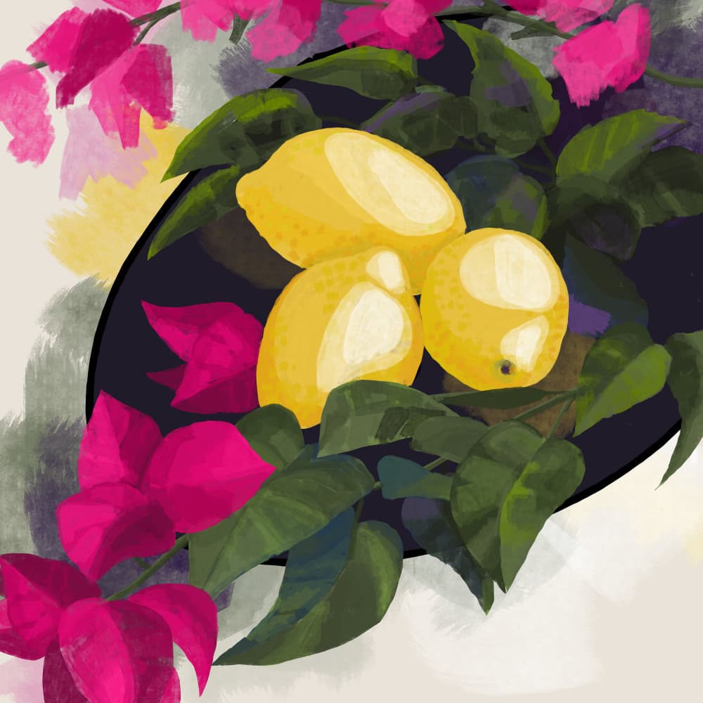 Pink Bougainvillea Lemons by Rosana Laiz Blursbyai — canvas wall art
