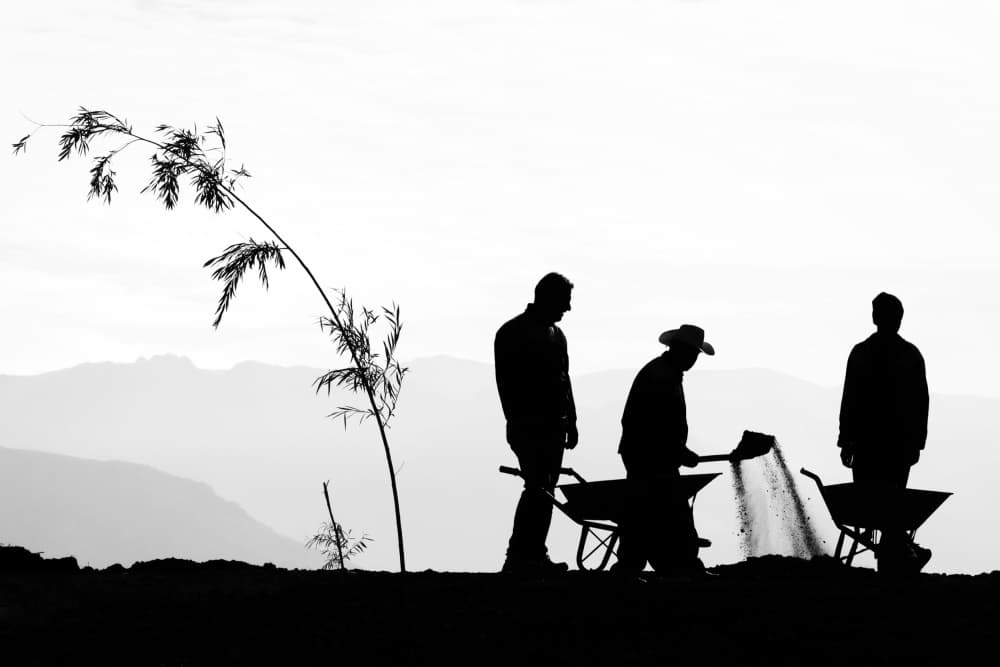 Mountain Work Silhouettes by Shamal Shakibayi — canvas wall art